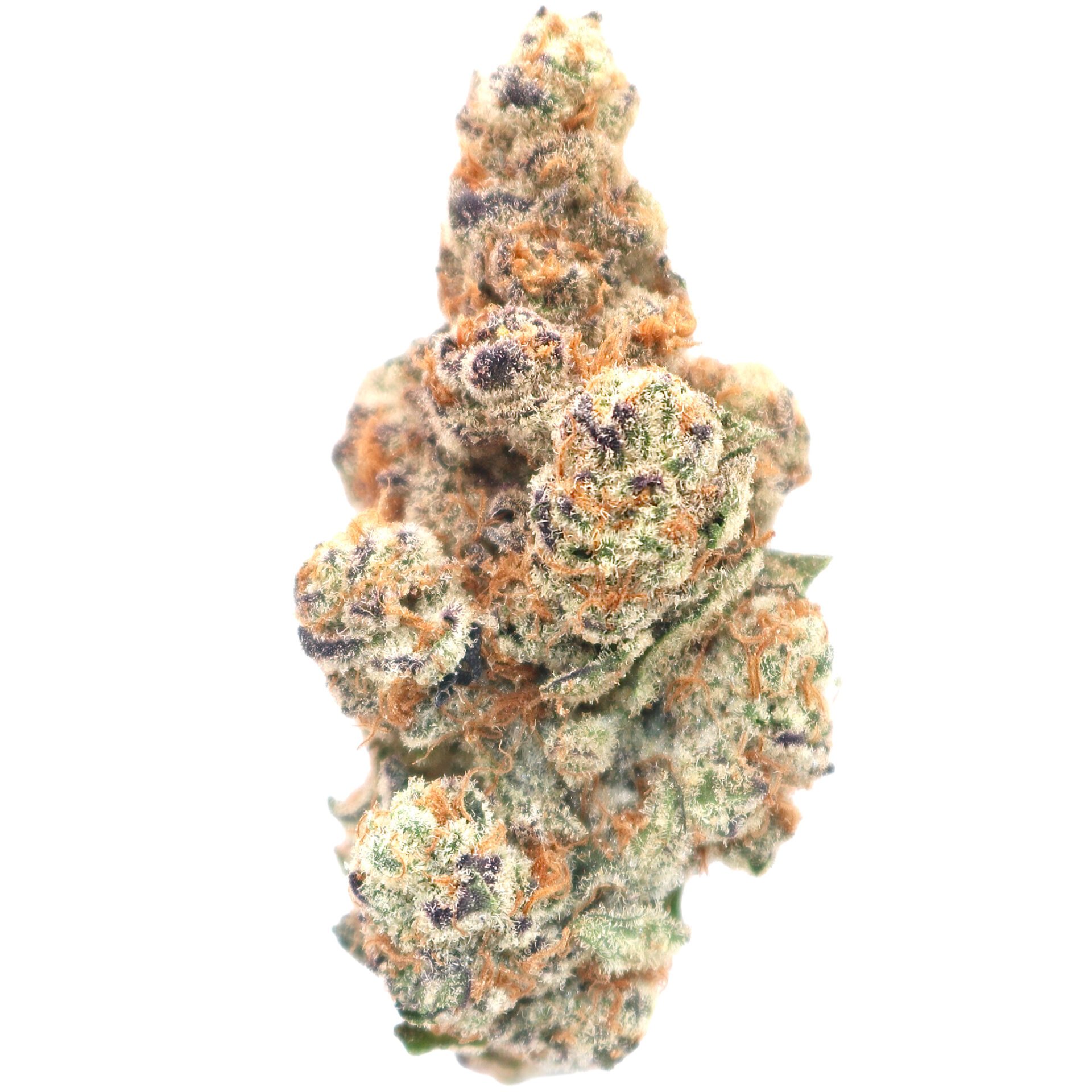 Purple-Milk