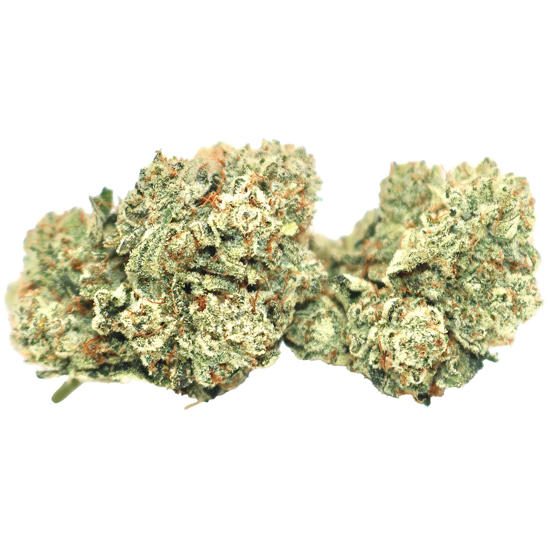 Grease-Monkey-2