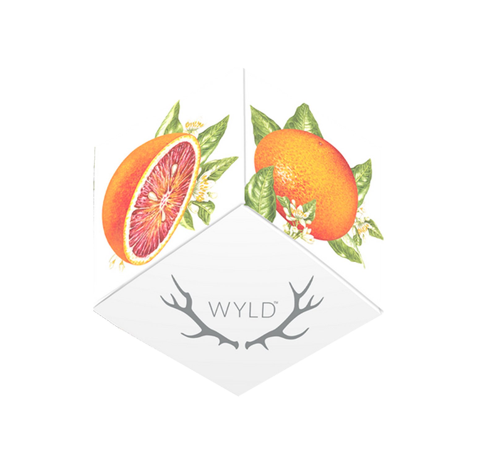 Blood-Orange-2-(white)