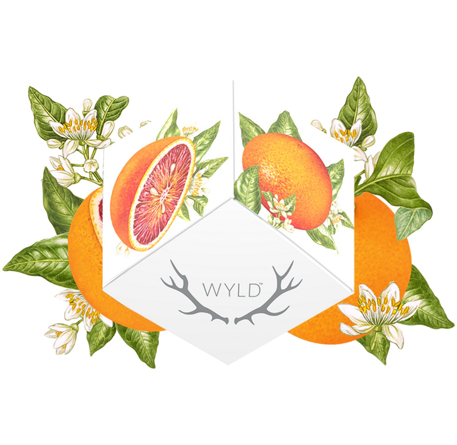 Blood-Orange-3-(white)