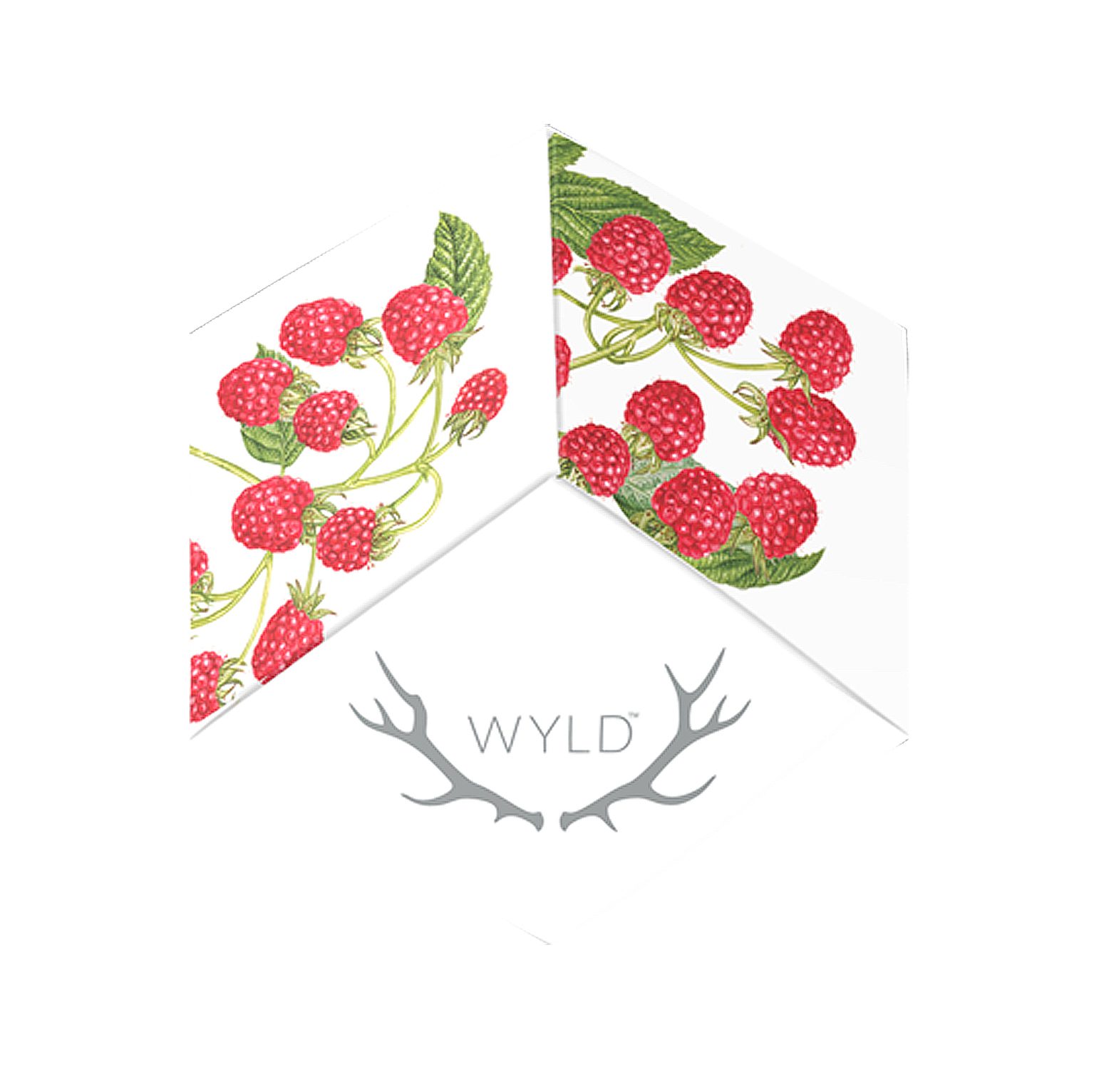 WYLD - Raspberry Sativa Enhanced Gummies | 100mg - TheDeliveryCo