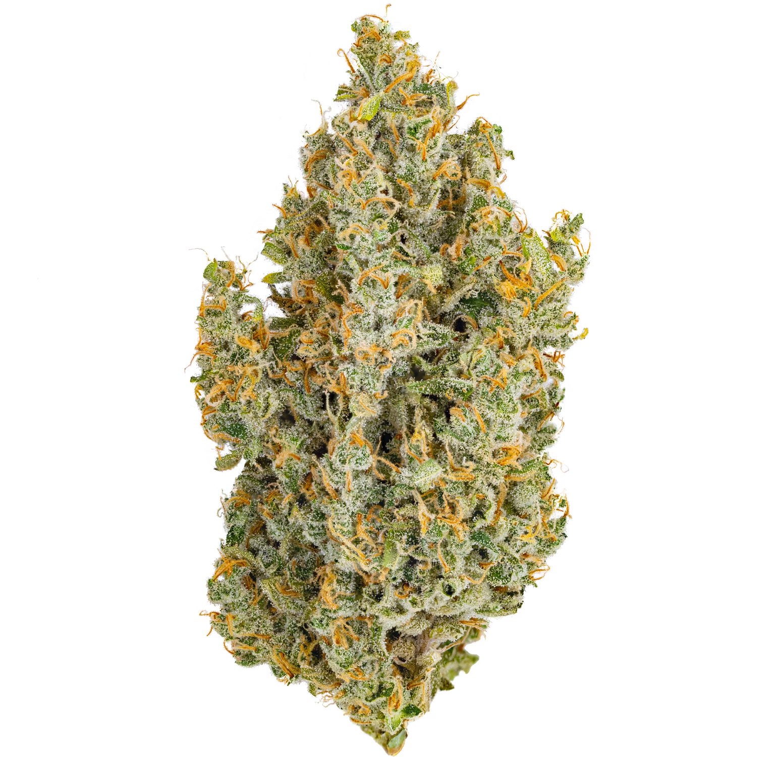 Durban-Poison-3-(white)