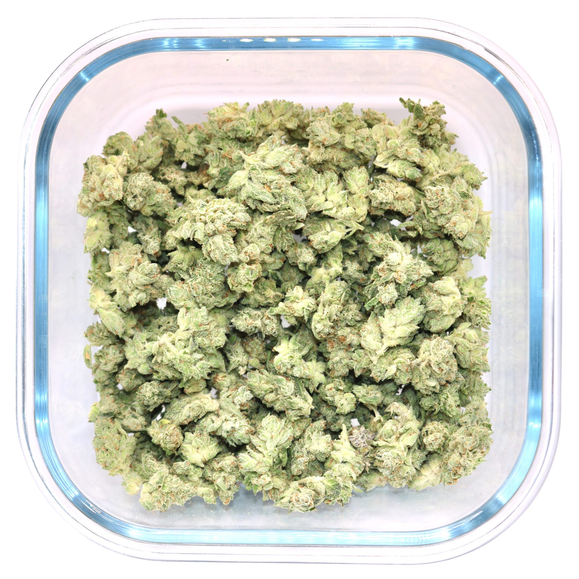 Gorilla-Gllue-Smalls