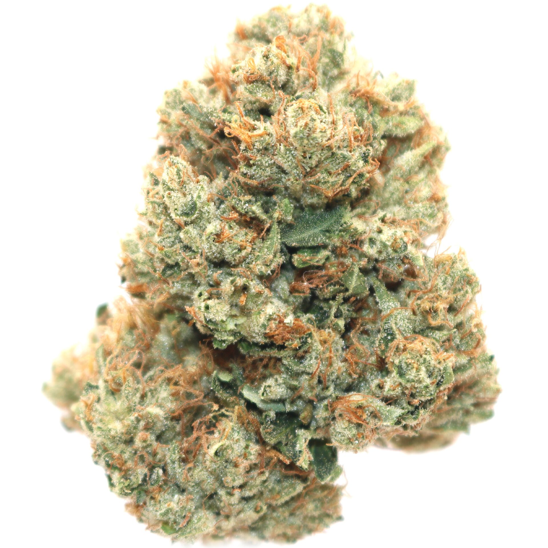 OG