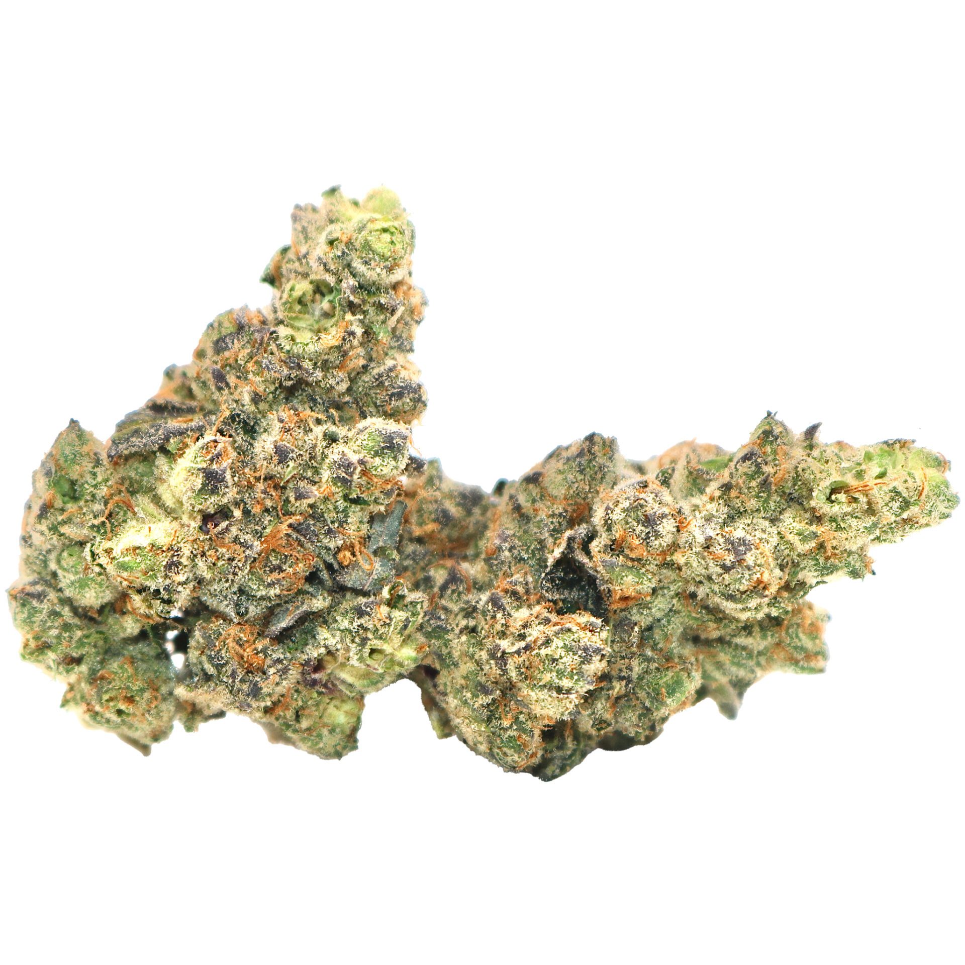 Jedi-OG-2