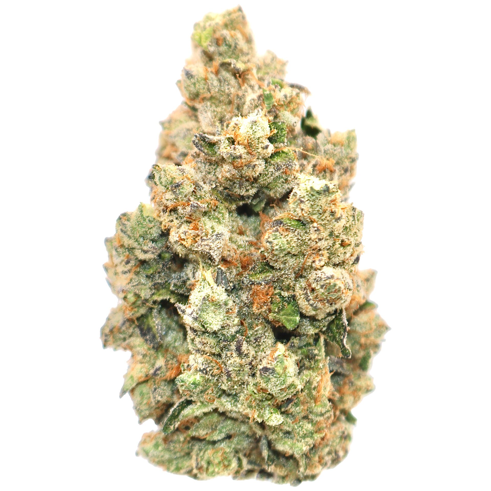 Jedi-OG