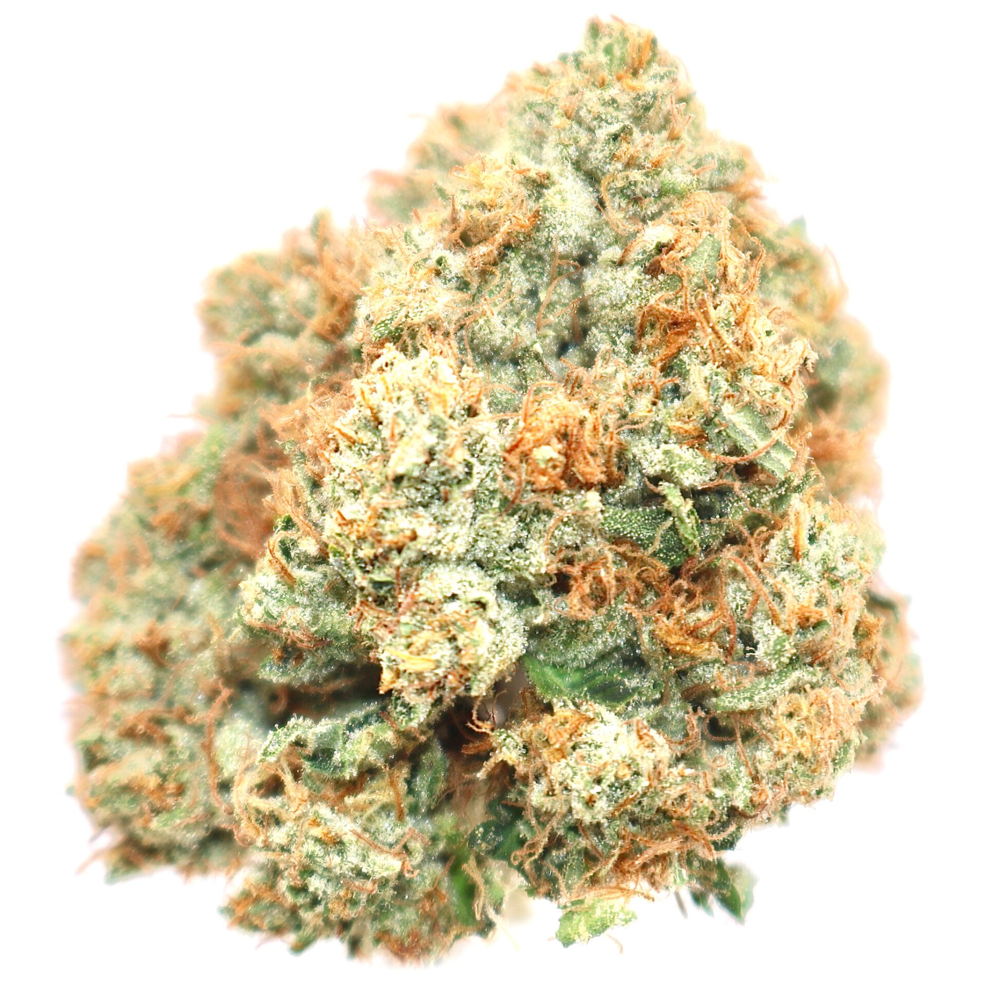 OG