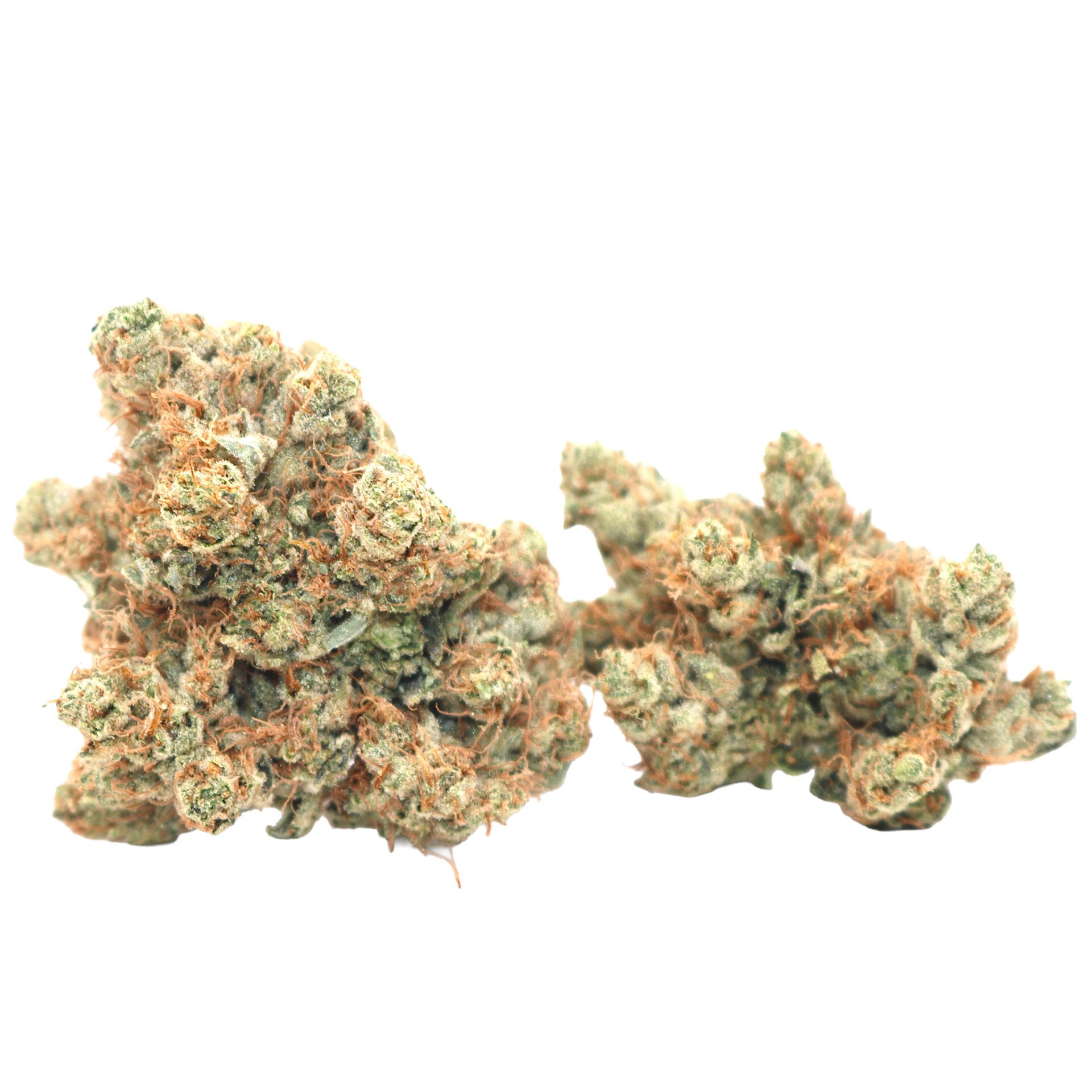 Mega-Wellness-OG-2