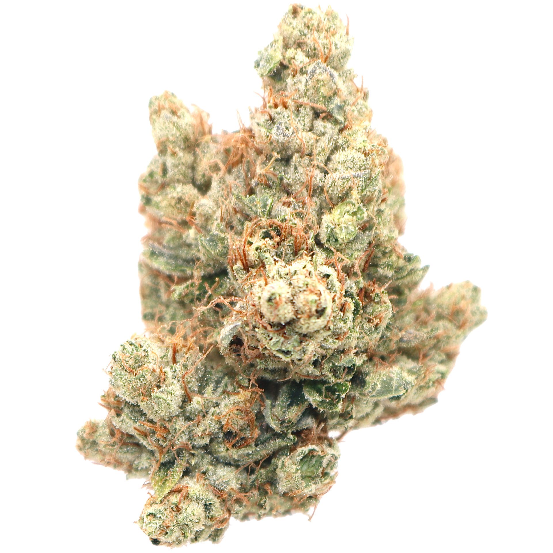 Mega-Wellness-OG