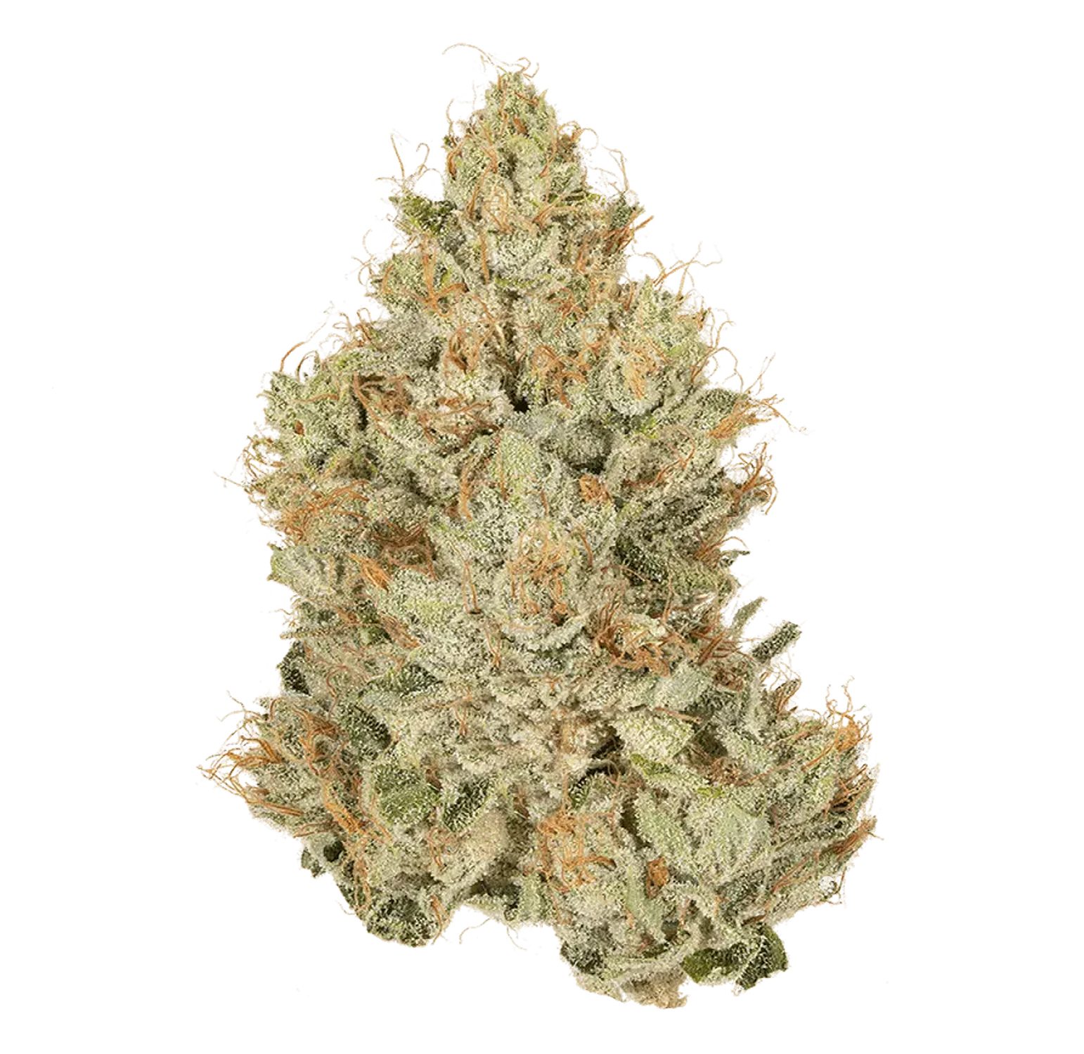 Red-Eye-OG-2-(WHITE)