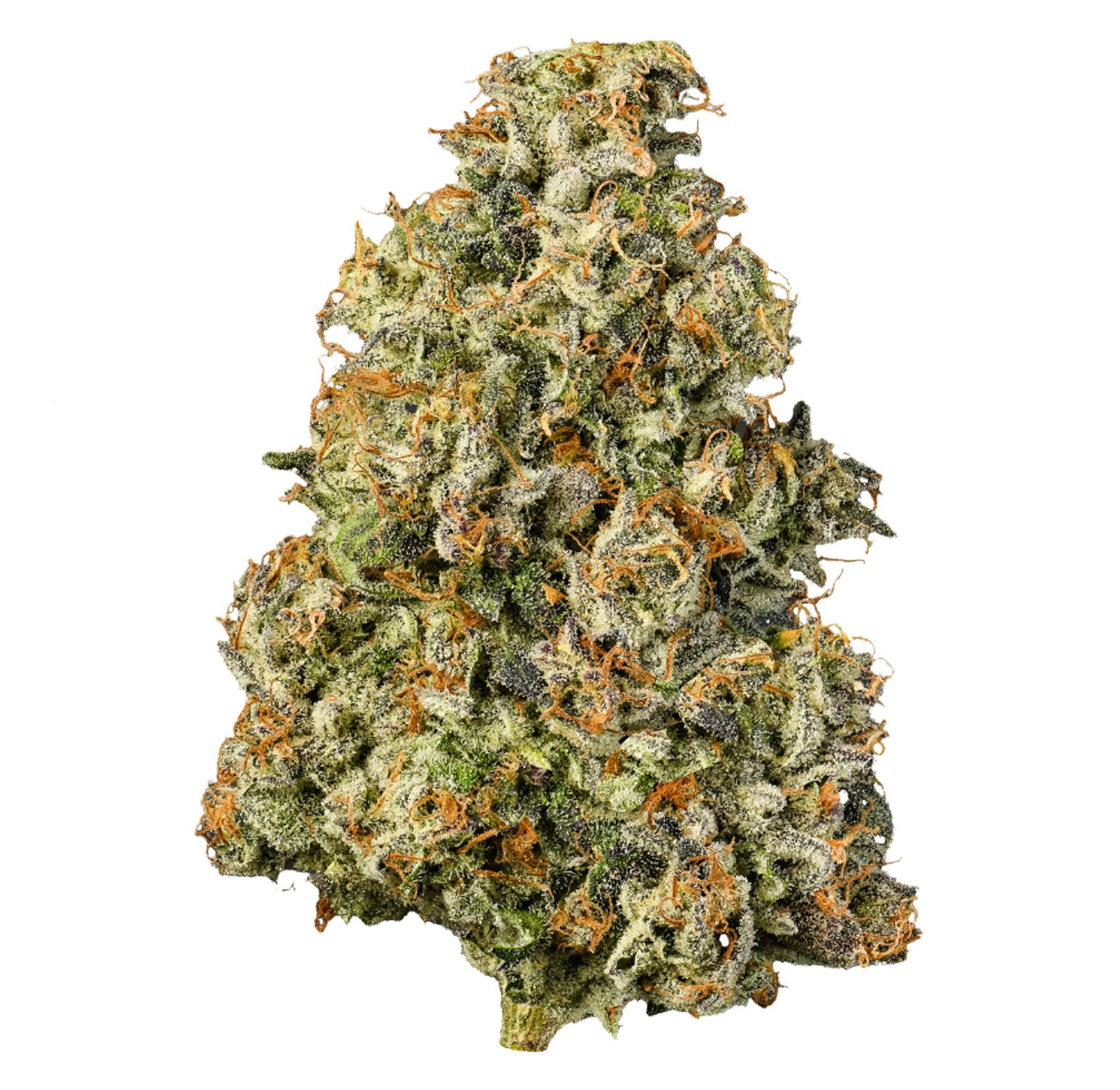 Gascotti-2-(White)