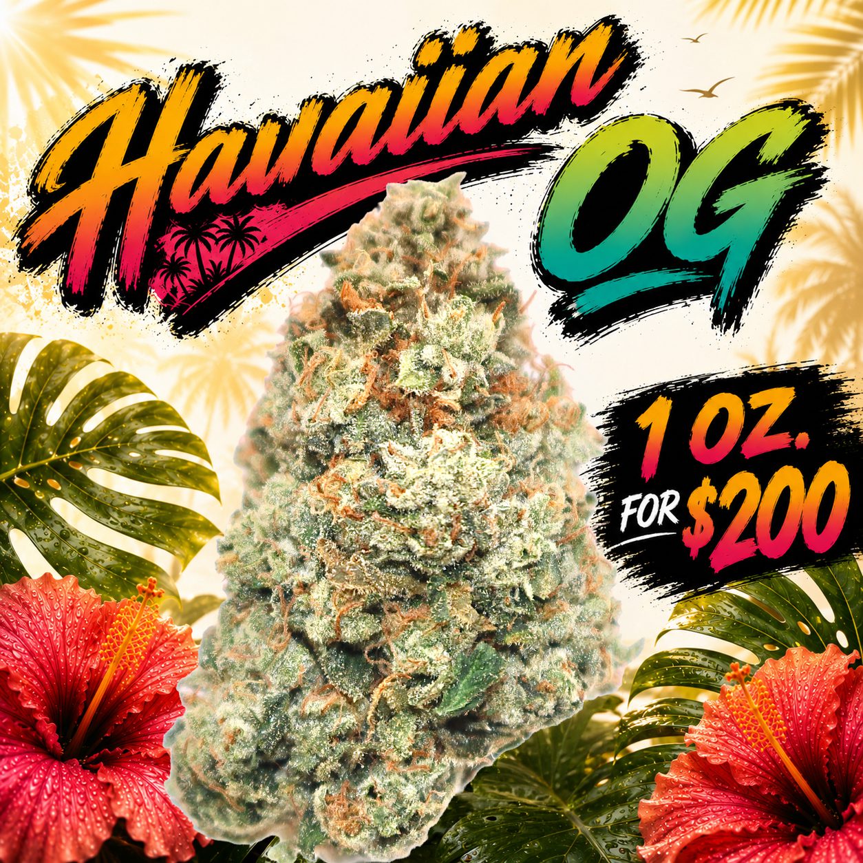 Hawaiian-OG-BB