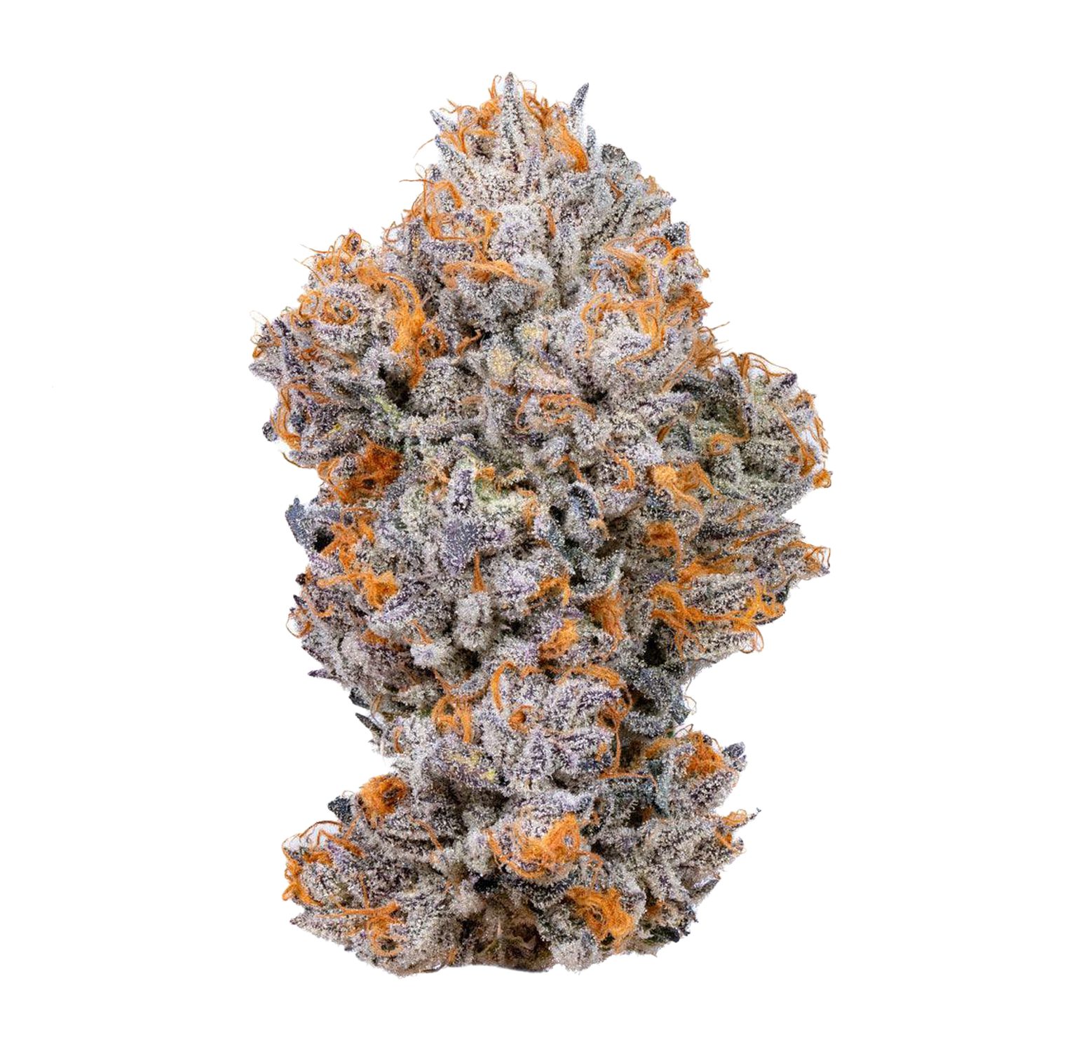 Biscotti-2-(white)
