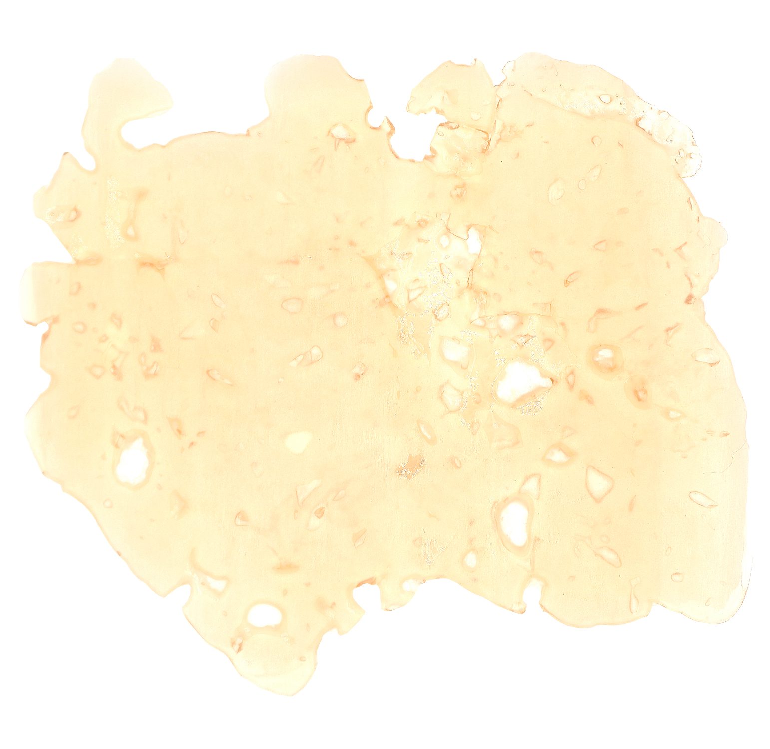 Jello-Shotz-2-(white)