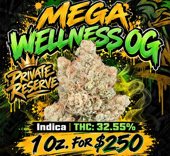 Mega-Wellness-Deal-WS