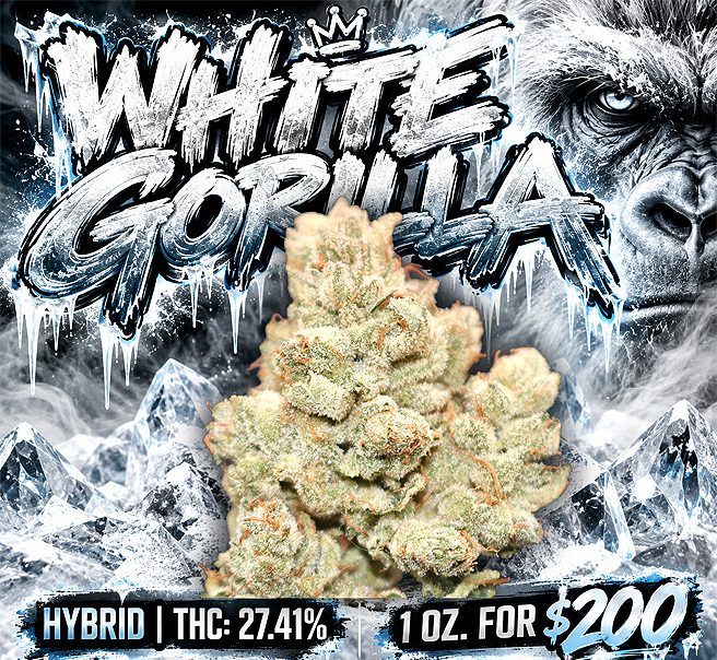 White-Gorilla-Deal