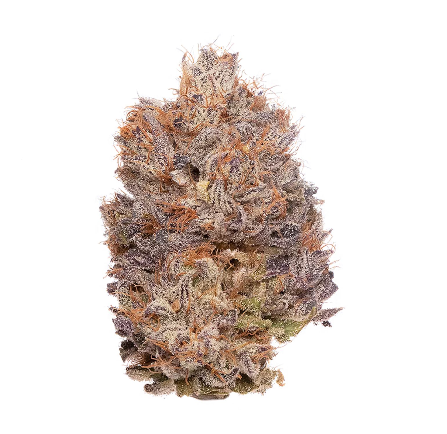 Blueberry-2-(white)