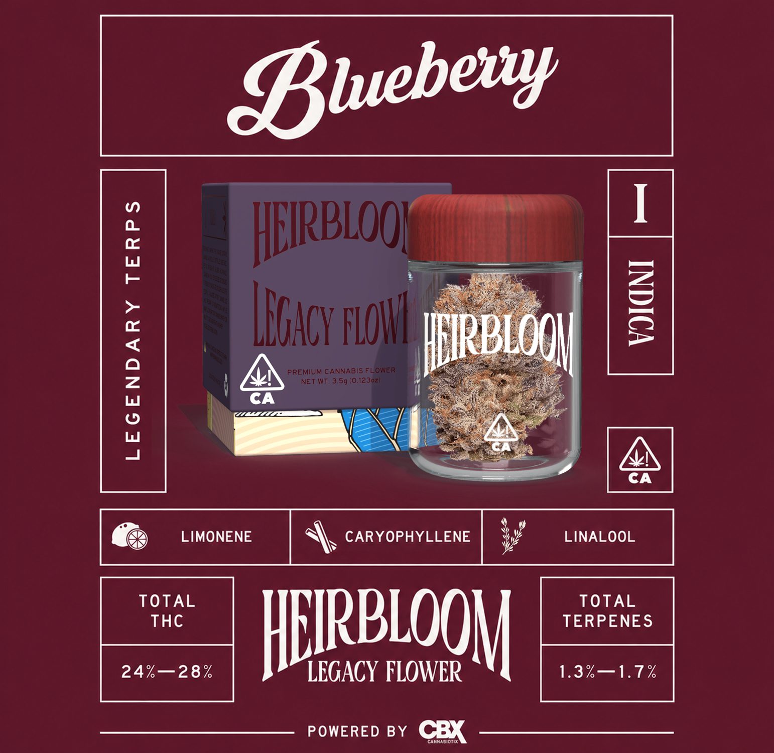 Blueberry-4