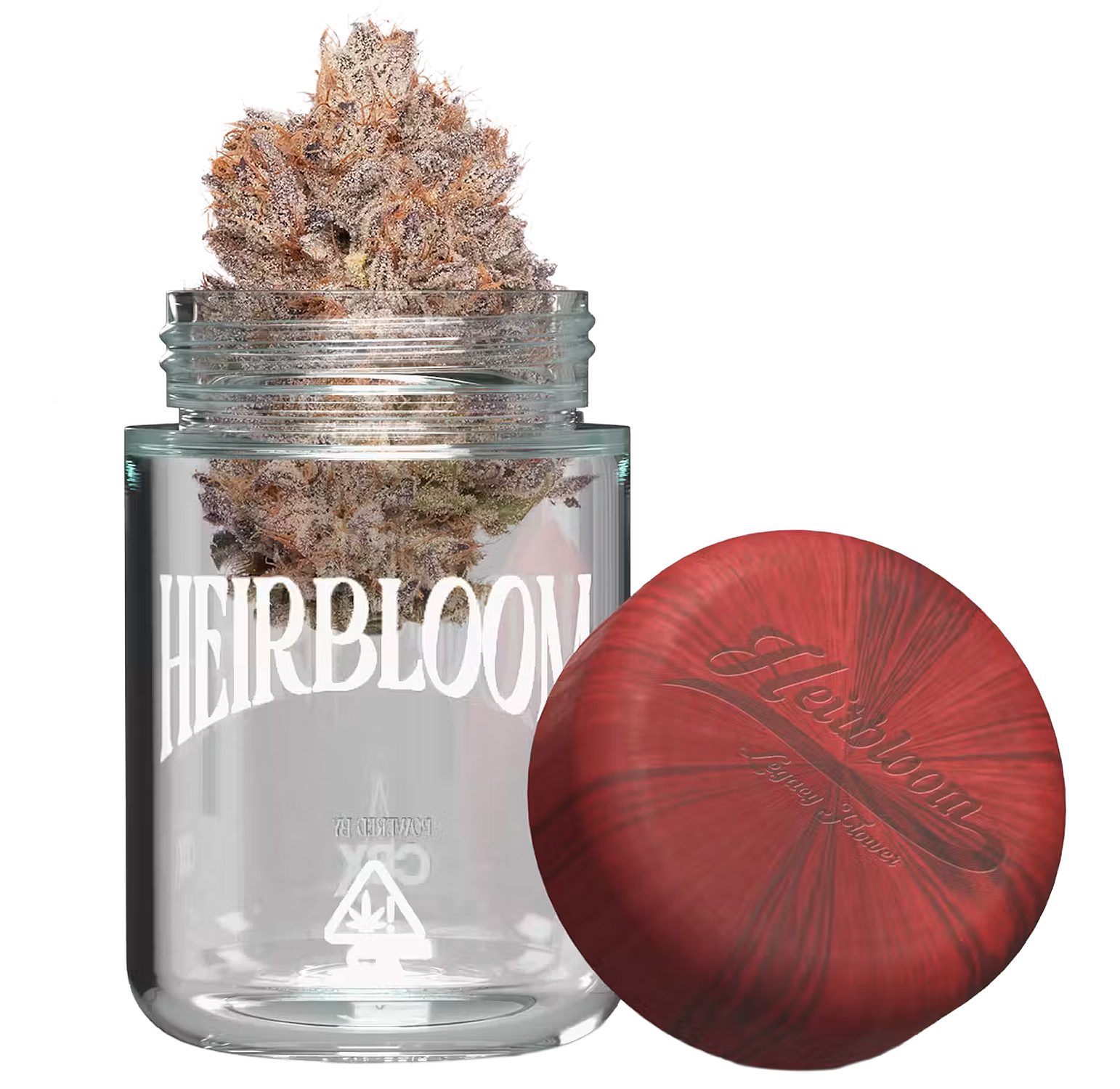 Blueberry-(white)