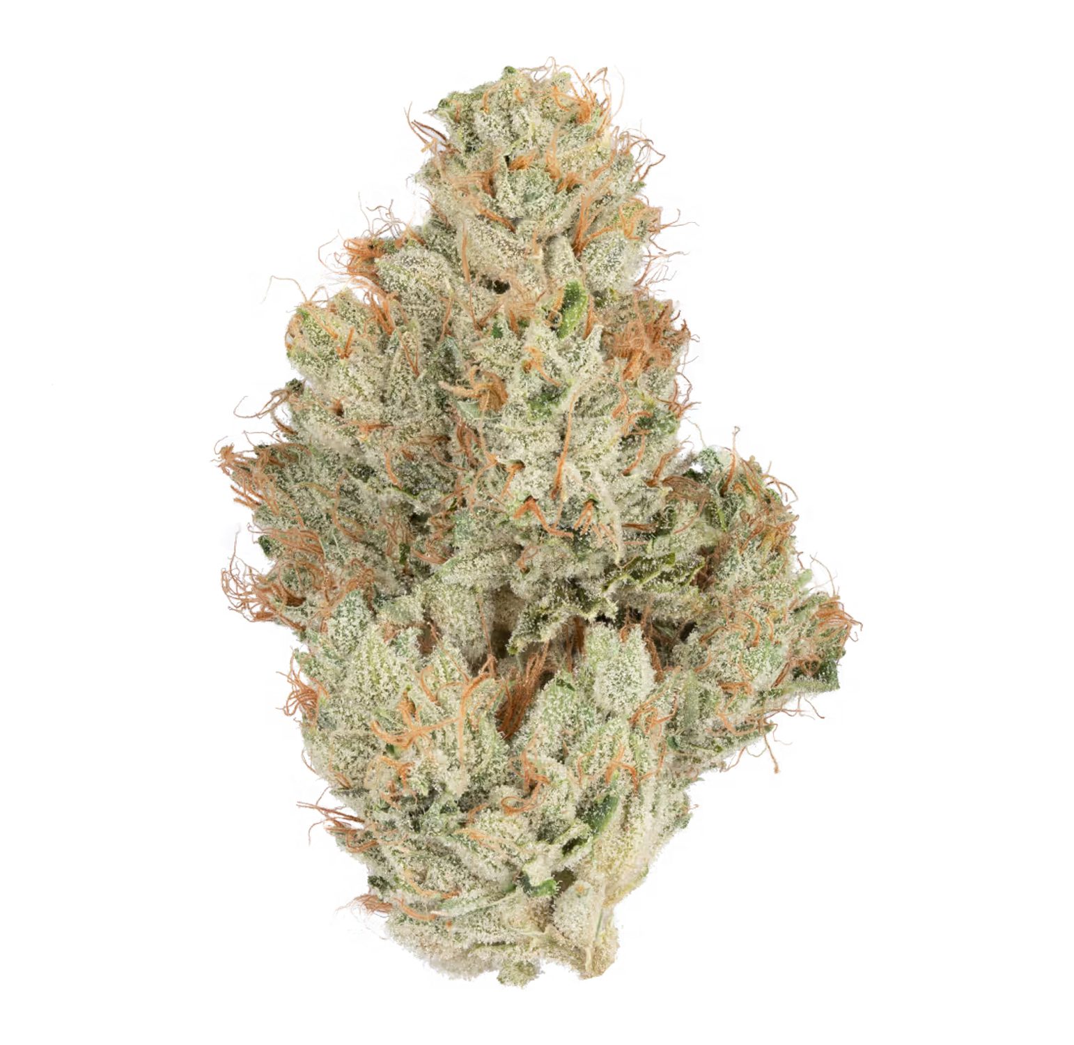 SFV-OG-2-(white)