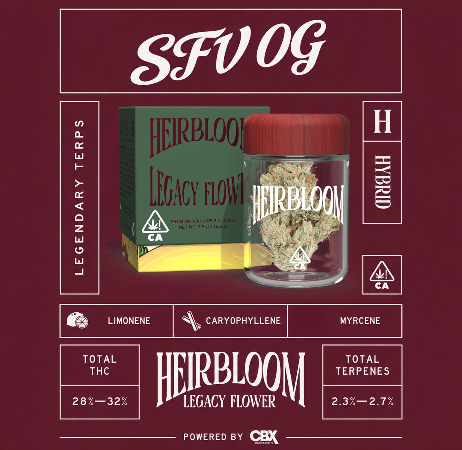 SFV-OG-4